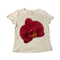 Camiseta estética de verão para bebês Y2K, roupas populares coreanas, emo streetwear, gótico, harajuku, estampa gráfica, camiseta feminina, top curto vintage